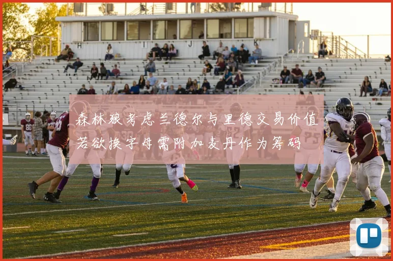 森林狼考虑兰德尔与里德交易价值若欲换字母需附加麦丹作为筹码